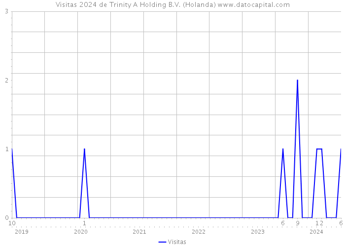 Visitas 2024 de Trinity A Holding B.V. (Holanda) 