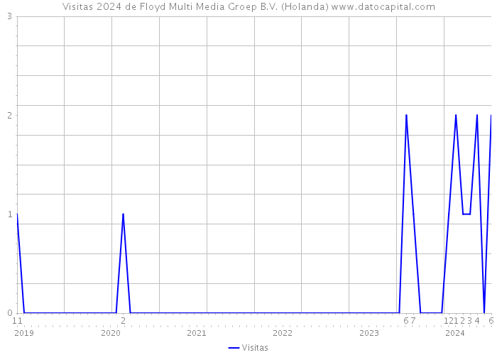 Visitas 2024 de Floyd Multi Media Groep B.V. (Holanda) 