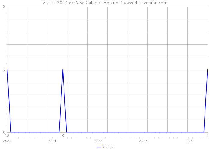 Visitas 2024 de Arse Calame (Holanda) 