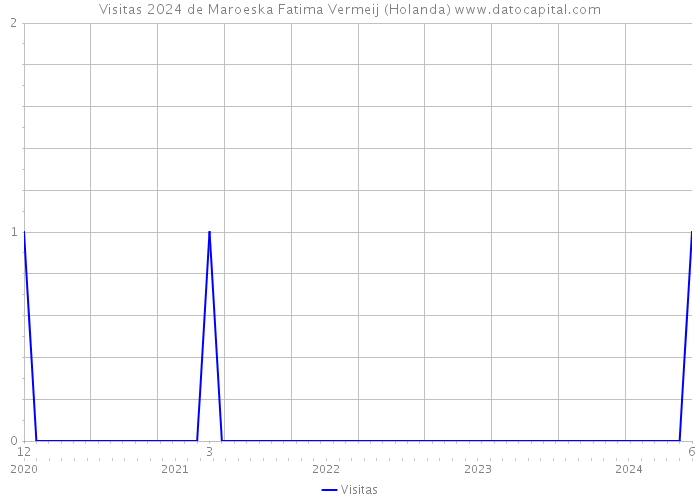 Visitas 2024 de Maroeska Fatima Vermeij (Holanda) 