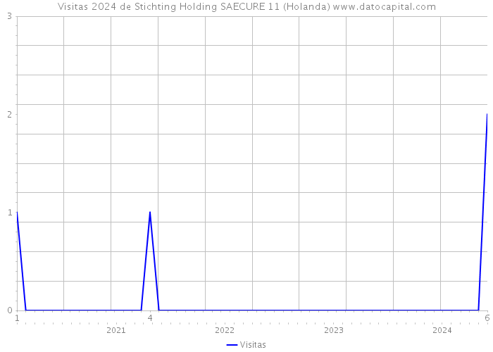 Visitas 2024 de Stichting Holding SAECURE 11 (Holanda) 