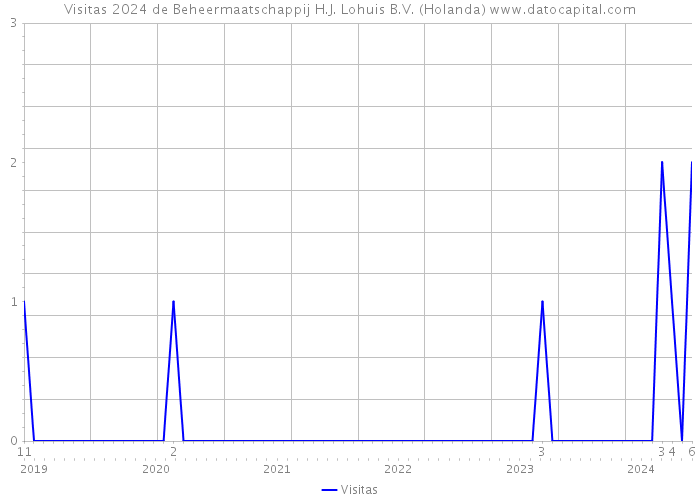 Visitas 2024 de Beheermaatschappij H.J. Lohuis B.V. (Holanda) 