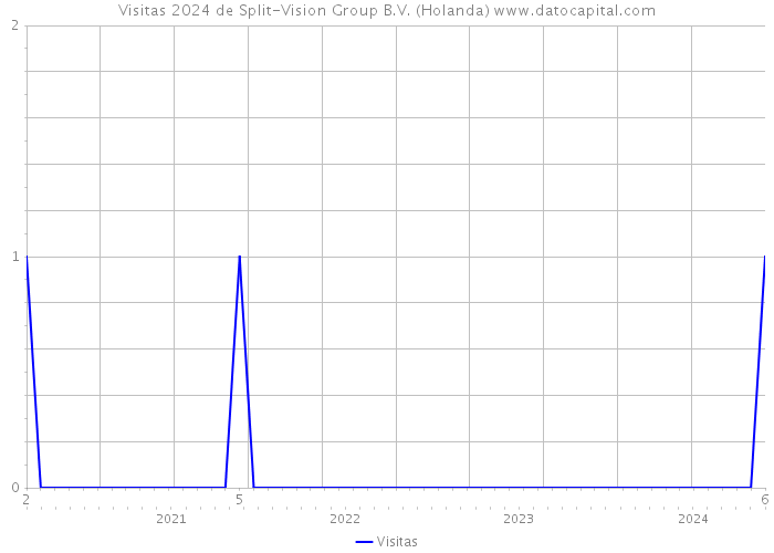 Visitas 2024 de Split-Vision Group B.V. (Holanda) 