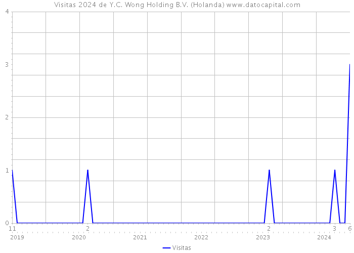 Visitas 2024 de Y.C. Wong Holding B.V. (Holanda) 