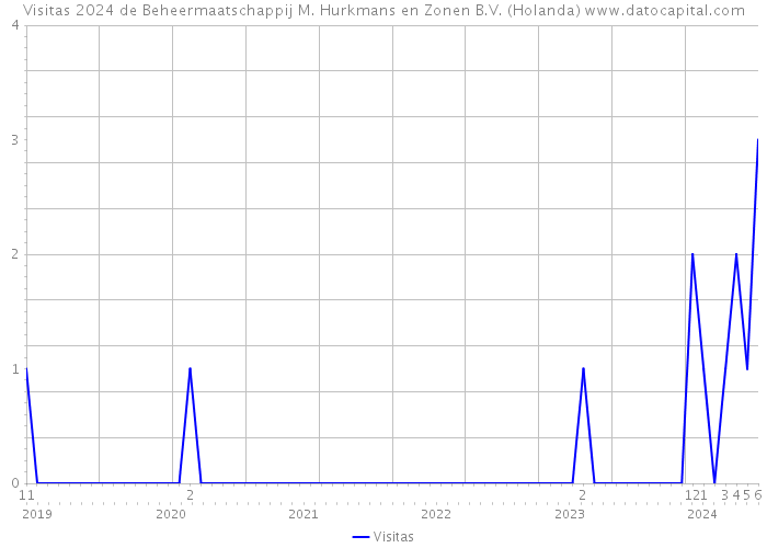 Visitas 2024 de Beheermaatschappij M. Hurkmans en Zonen B.V. (Holanda) 