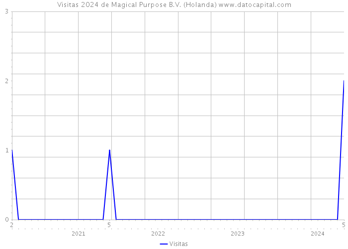 Visitas 2024 de Magical Purpose B.V. (Holanda) 