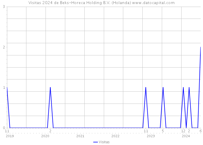 Visitas 2024 de Beks-Horeca Holding B.V. (Holanda) 