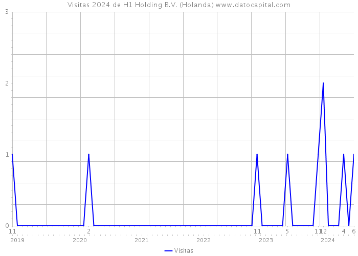 Visitas 2024 de H1 Holding B.V. (Holanda) 