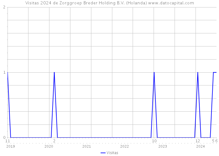 Visitas 2024 de Zorggroep Breder Holding B.V. (Holanda) 
