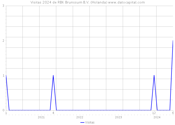 Visitas 2024 de RBK Brunssum B.V. (Holanda) 
