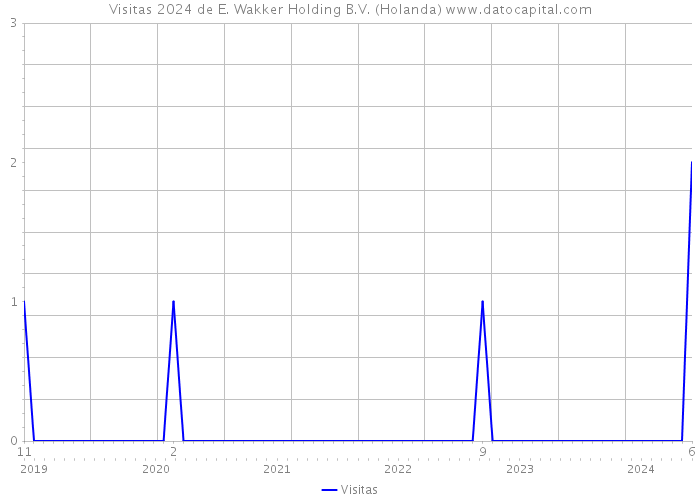 Visitas 2024 de E. Wakker Holding B.V. (Holanda) 