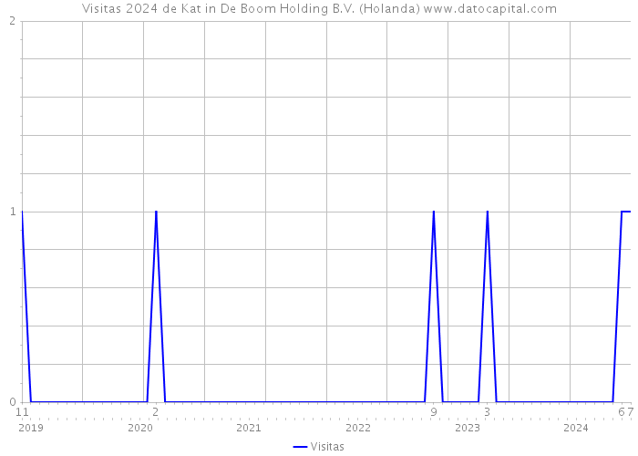 Visitas 2024 de Kat in De Boom Holding B.V. (Holanda) 