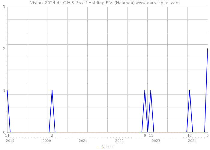 Visitas 2024 de C.H.B. Sosef Holding B.V. (Holanda) 