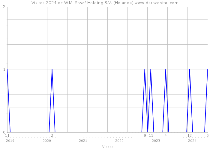 Visitas 2024 de W.M. Sosef Holding B.V. (Holanda) 