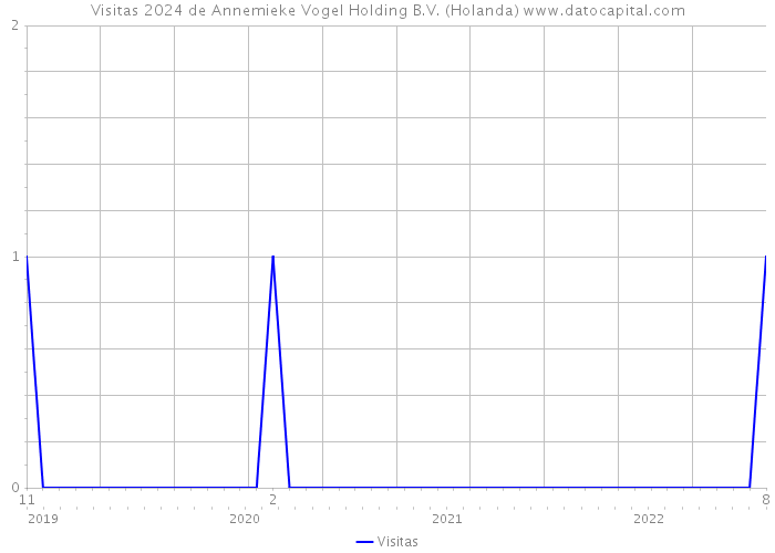 Visitas 2024 de Annemieke Vogel Holding B.V. (Holanda) 