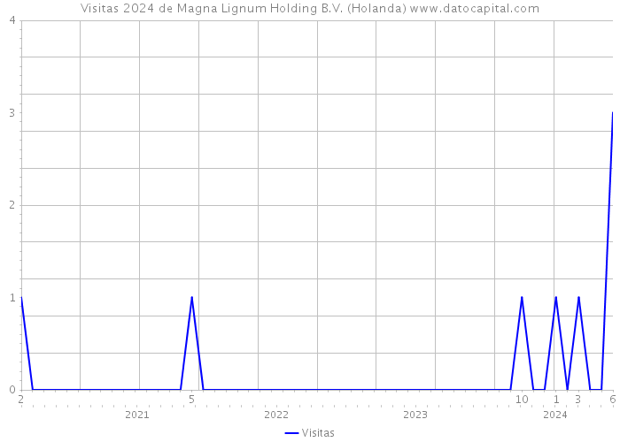 Visitas 2024 de Magna Lignum Holding B.V. (Holanda) 
