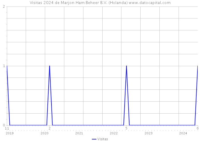 Visitas 2024 de Marjon Ham Beheer B.V. (Holanda) 