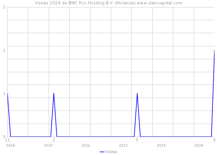 Visitas 2024 de BWC Ros Holding B.V. (Holanda) 