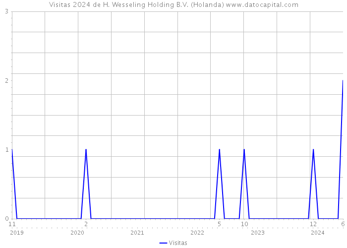 Visitas 2024 de H. Wesseling Holding B.V. (Holanda) 