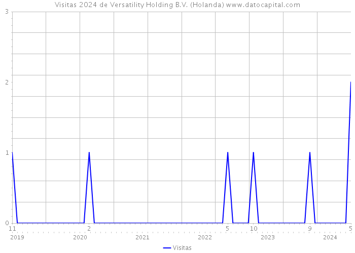 Visitas 2024 de Versatility Holding B.V. (Holanda) 