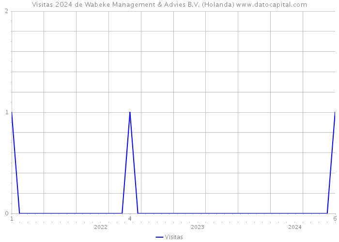 Visitas 2024 de Wabeke Management & Advies B.V. (Holanda) 