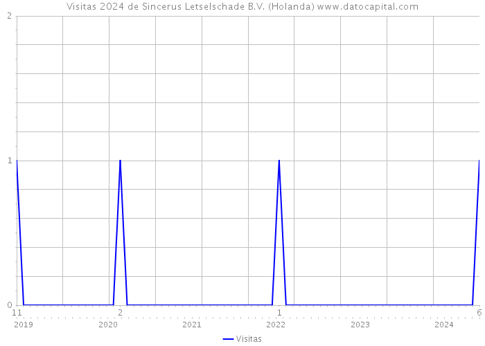 Visitas 2024 de Sincerus Letselschade B.V. (Holanda) 