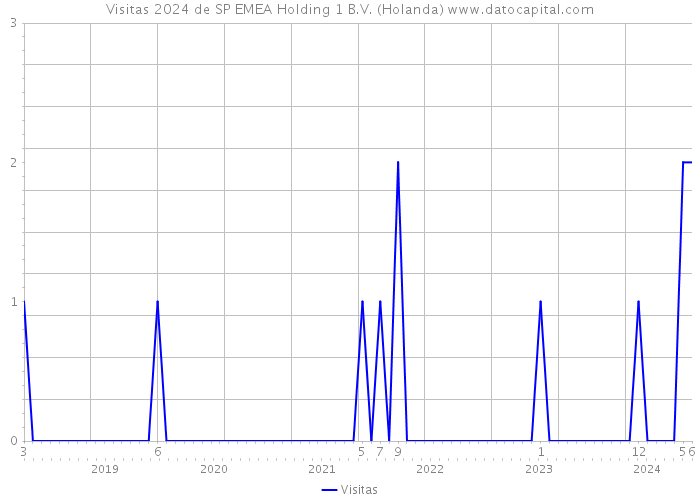 Visitas 2024 de SP EMEA Holding 1 B.V. (Holanda) 