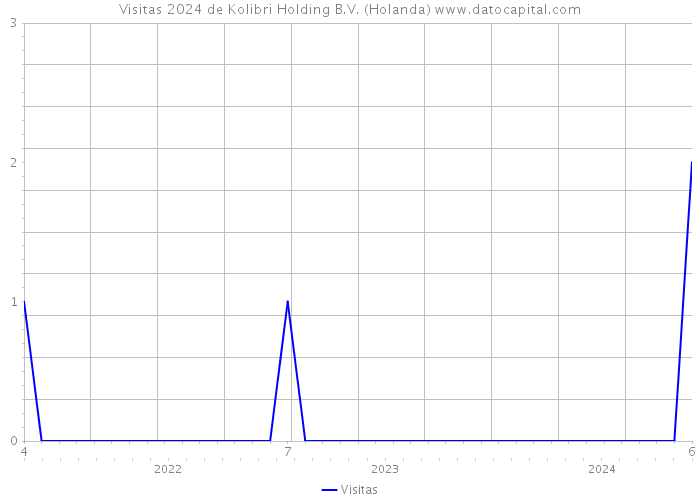 Visitas 2024 de Kolibri Holding B.V. (Holanda) 