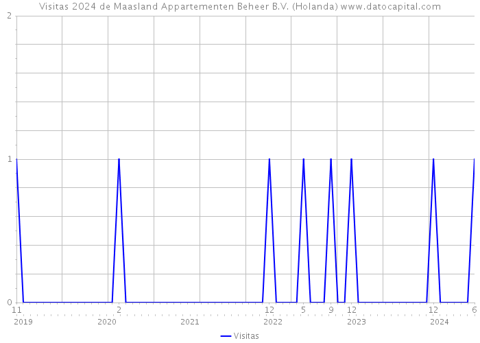 Visitas 2024 de Maasland Appartementen Beheer B.V. (Holanda) 