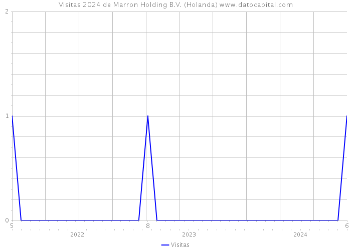 Visitas 2024 de Marron Holding B.V. (Holanda) 