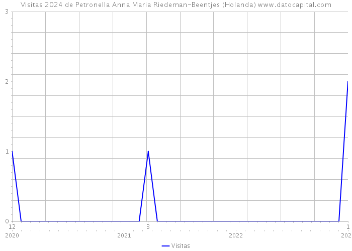 Visitas 2024 de Petronella Anna Maria Riedeman-Beentjes (Holanda) 