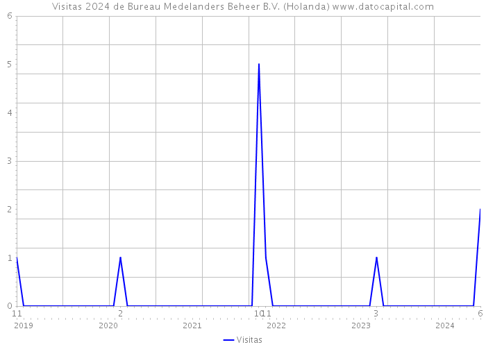 Visitas 2024 de Bureau Medelanders Beheer B.V. (Holanda) 