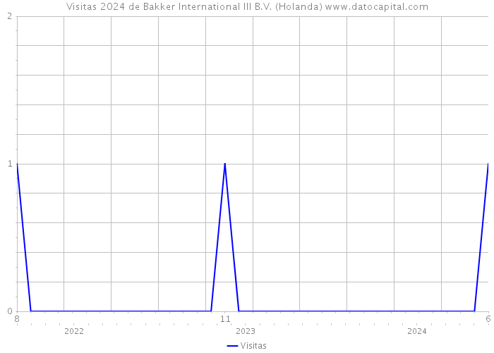 Visitas 2024 de Bakker International III B.V. (Holanda) 