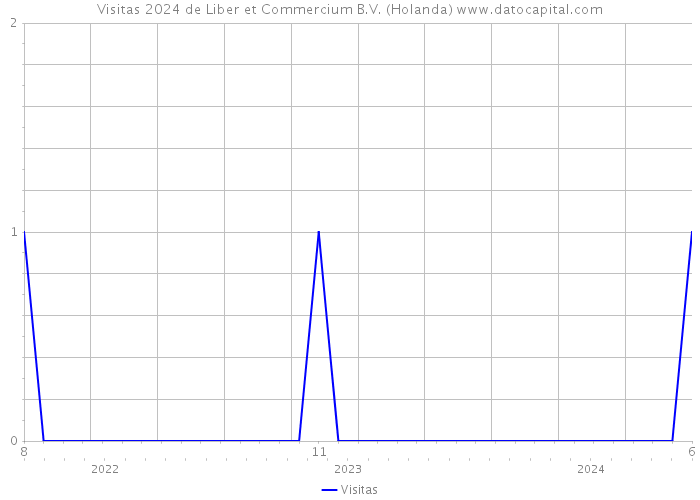 Visitas 2024 de Liber et Commercium B.V. (Holanda) 