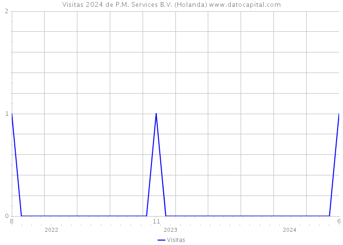 Visitas 2024 de P.M. Services B.V. (Holanda) 