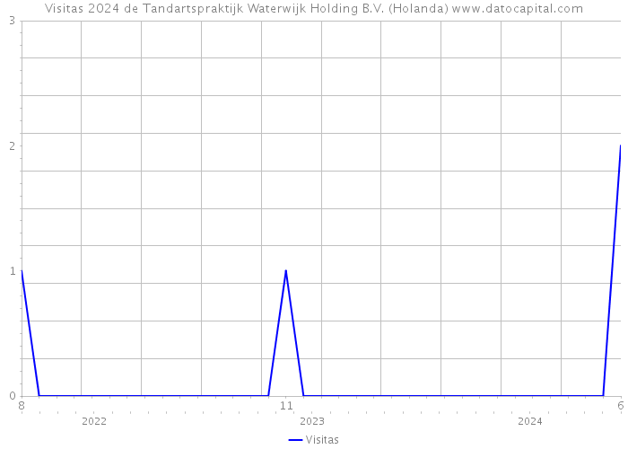 Visitas 2024 de Tandartspraktijk Waterwijk Holding B.V. (Holanda) 