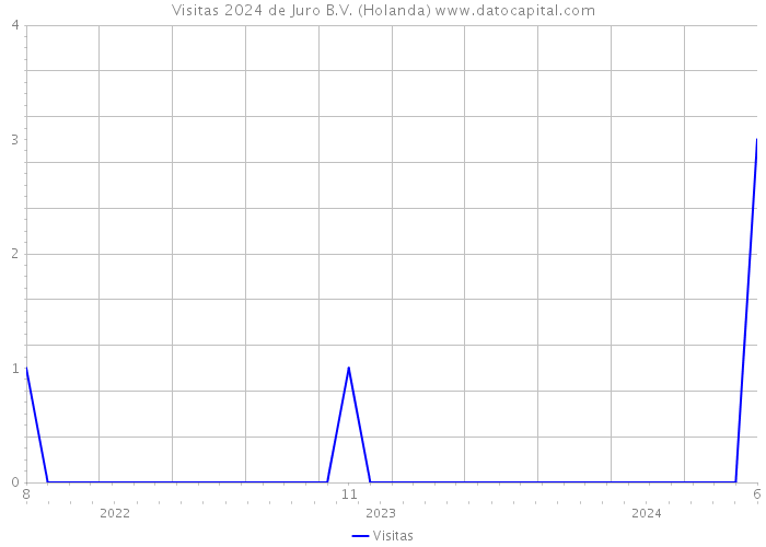 Visitas 2024 de Juro B.V. (Holanda) 