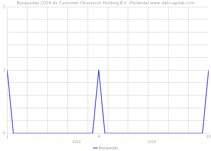 Búsquedas 2024 de Customer Obsession Holding B.V. (Holanda) 