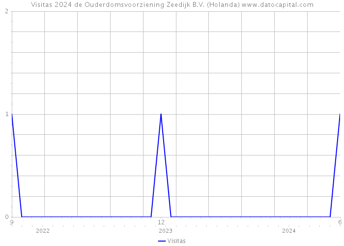 Visitas 2024 de Ouderdomsvoorziening Zeedijk B.V. (Holanda) 