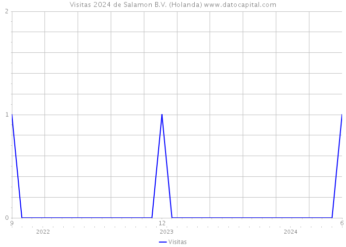 Visitas 2024 de Salamon B.V. (Holanda) 