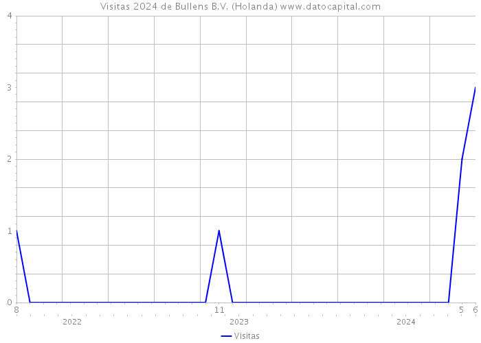 Visitas 2024 de Bullens B.V. (Holanda) 