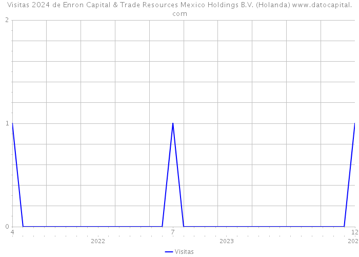 Visitas 2024 de Enron Capital & Trade Resources Mexico Holdings B.V. (Holanda) 