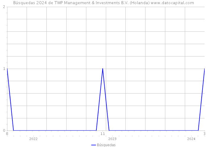 Búsquedas 2024 de TWP Management & Investments B.V. (Holanda) 