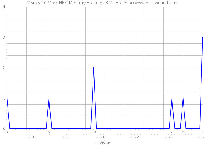 Visitas 2024 de HESI Minority Holdings B.V. (Holanda) 