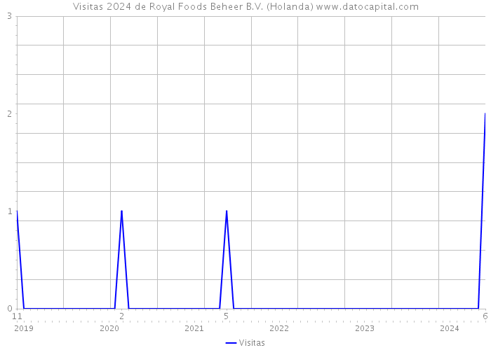 Visitas 2024 de Royal Foods Beheer B.V. (Holanda) 