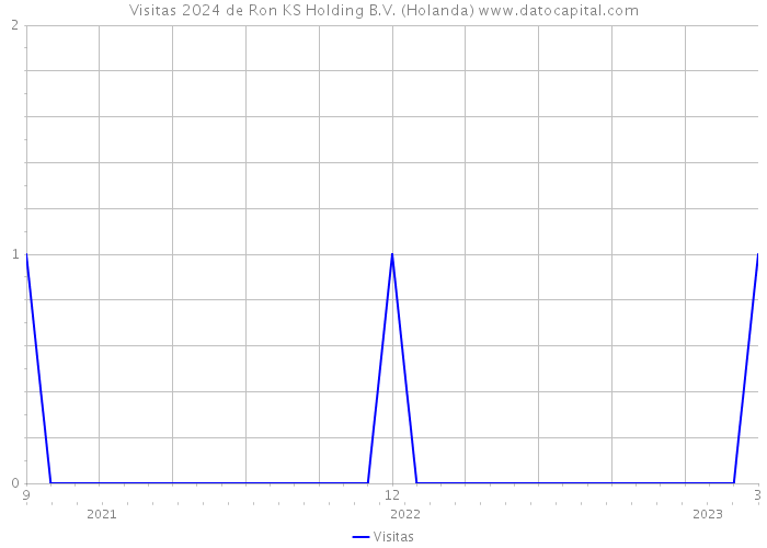 Visitas 2024 de Ron KS Holding B.V. (Holanda) 