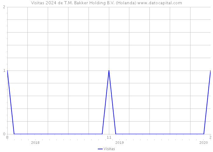 Visitas 2024 de T.M. Bakker Holding B.V. (Holanda) 