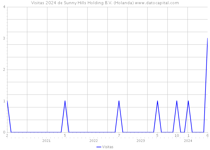 Visitas 2024 de Sunny Hills Holding B.V. (Holanda) 