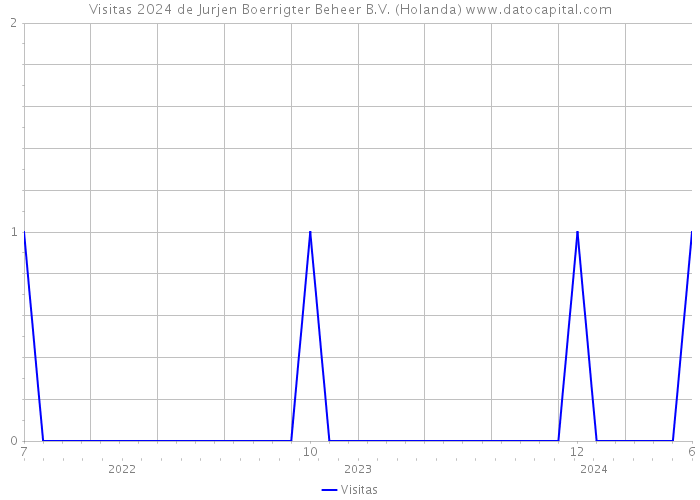 Visitas 2024 de Jurjen Boerrigter Beheer B.V. (Holanda) 