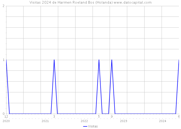 Visitas 2024 de Harmen Roeland Bos (Holanda) 